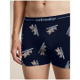 Herren funktionelle Boxershorts Icebreaker Men M 150 Anatomica Boxers BearTourAOP