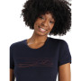 Damen-T-Shirt Icebreaker Tech Lite II SS Tee Ski Stripes