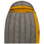 Daunenschlafsack Sea to Summit Spark SPII Regular