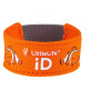 Sicherheitsgurt LittleLife Safety iD Strap orange Clownfish