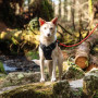 Hundegeschirr Mountain Paws Dog Harness
