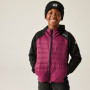Kinderjacke Regatta Kielder Hybrid IX