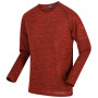 Herren-T-Shirt Regatta Burlow orange CajunOrange