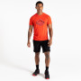 Herren-T-Shirt Dare 2b Tech II Tee