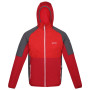 Herren-Sweatshirt Regatta Attare rot DkRed/ChinRd