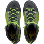 Herrenschuhe Salewa MS RAVEN 3 GTX