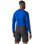 Herren-Funktionsshirt Helly Hansen HH Lifa Stripe Crew