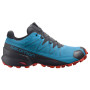 Herrenschuhe Salomon Speedcross 5 GTX