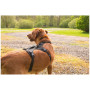 Hundegeschirr Mountain Paws 3-Strap Dog Harness