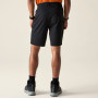 Herrenshorts Dare 2b Torrek Lite Short