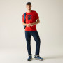 Herren-T-Shirt Regatta Cline IX