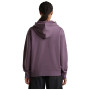 Damen Funktions-Sweatshirt Icebreaker W Mer 360 RealFleece Elemental LS Hood