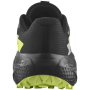 Herren Laufschuhe Salomon Alphaglide Gore-Tex