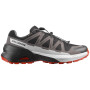 Herrenschuhe Salomon Speedcross Peak Gore-Tex