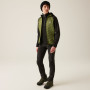 Herrenjacke Regatta Andreson VIII Hybrid