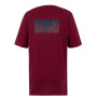 Herren T-Shirt Regatta Cline IX
