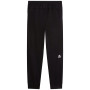 Herren-Jogginghose The North Face M Mountain Athletics Fleece Pant 2.0