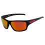 Polarisationsbrille 3F Cover