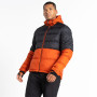 Herrenjacke Dare 2b Ollie Jacket