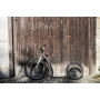 Roller Yedoo Trexx Disc