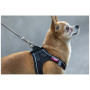 Hundeleine Curli Ultra Strong Pocket Leash