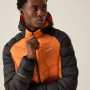 Herrenjacke Regatta Hooded Dalent