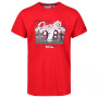 Herren-T-Shirt Regatta Cline III kr. rukáv rot Pepper