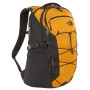Herren Rucksack The North Face Borealis 28l orange ZinniaOrange/A
