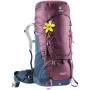 Damenrucksack Deuter Aircontact 50+10 SL (2020) weinfarbe BlackberryNavy