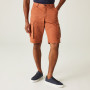 Herrenshorts Regatta Shorebay Short