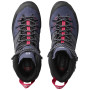 Damenschuhe Salomon X Alp High Ltr Gtx W