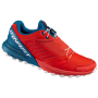 Herrenschuhe Dynafit Alpine Pro rot/blau Dawn/MykonosBlue