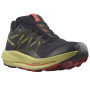 Herren Laufschuhe Salomon Pulsar Trail Gtx