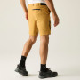 Herrenshorts Regatta Anti-Insect Travel Light Shorts