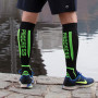 Socken Progress P Cox 8UU Compress
