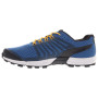Herrenschuhe Inov-8 Roclite 290 M