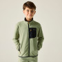 Kinder-Sweatshirt Regatta Junior Frankie F/Z Light Sage