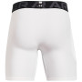 Herren funktionelle Boxershorts Under Armour HG Armour Shorts
