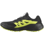 Herren Laufschuhe Salomon Alphaglide Gore-Tex