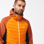 Herrenjacke Regatta Andreson VIII Hybrid