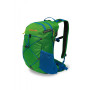 Rucksack Pinguin Ride 19 (2019) grün
