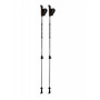 Nordic Walking Stöcke Blizzard Alu Performance nordic walking poles schwarz silver/black