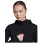 Damen Funktions-Sweatshirt Icebreaker Women Merino Blend 200 RealFleece™ Descender LS Zip Hoodie