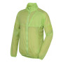 Herrenjacke Husky Loco M 2022 hellgrün