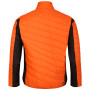 Herrenjacke Dare 2b Descending Jacket