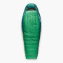 Daunenschlafsack Sea to Summit Ascent -9C Regular grün Rain Forest Green