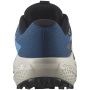 Herren Laufschuhe Salomon Alphaglide Gore-Tex