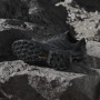 Wanderschuhe Adidas Terrex Skychaser