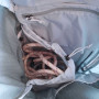 Skialp-Rucksack Blue Ice Kume 32l