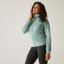 Damen Funktions-Sweatshirt Regatta Endra